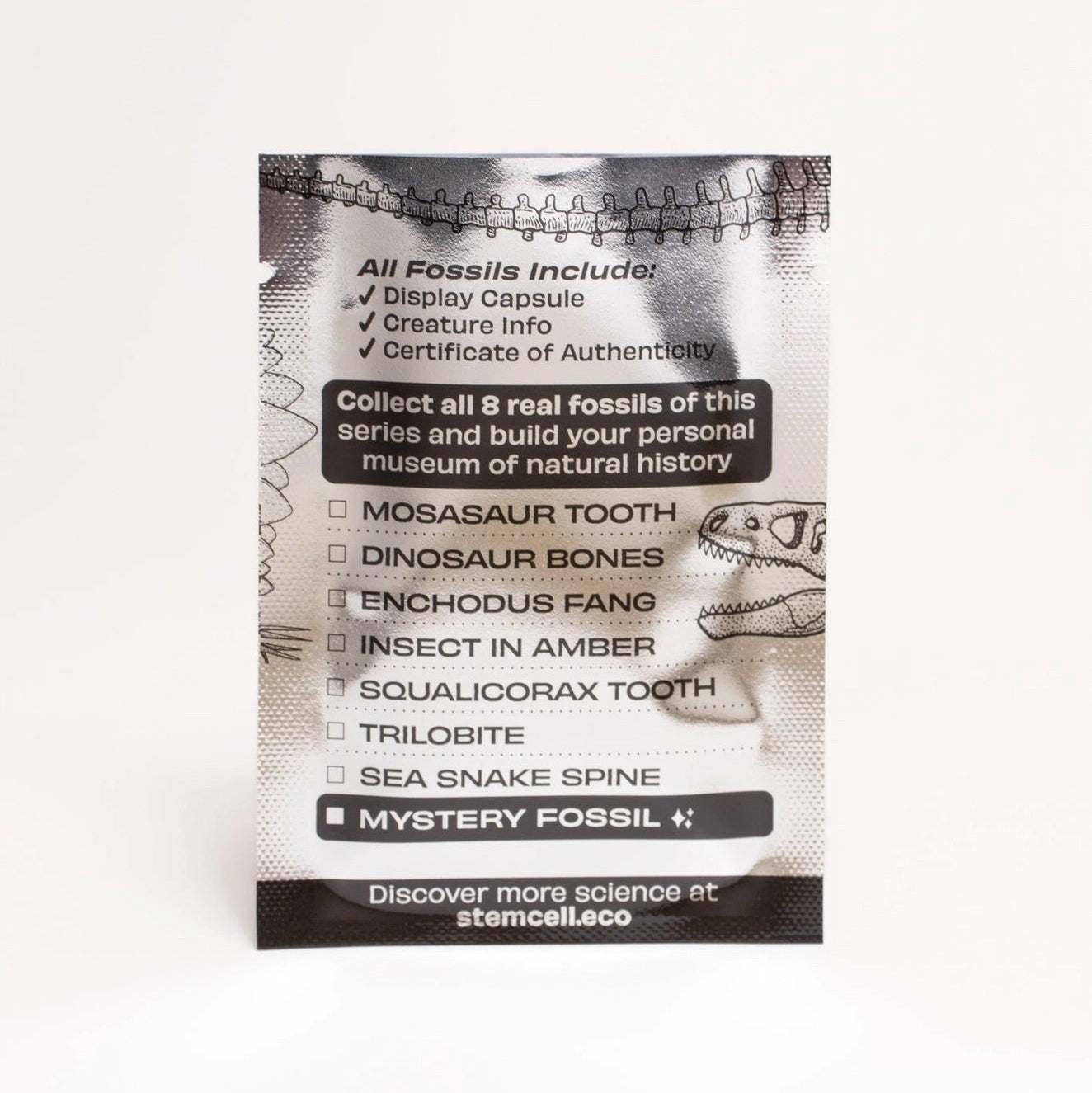 Mystery - Fossil Blind Bag