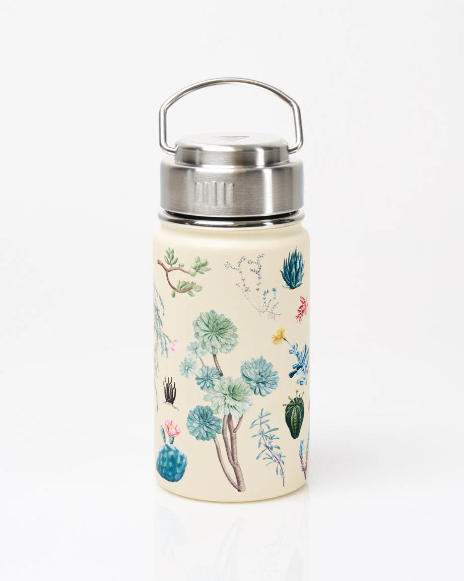 Succulents Water Bottle - 12 oz Small