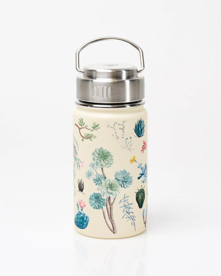 Succulents Water Bottle - 12 oz Small
