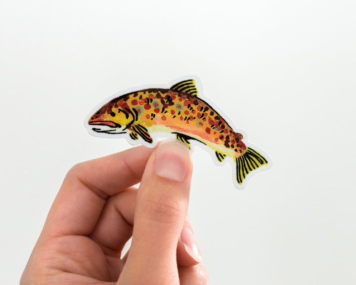 Brown Trout Sticker