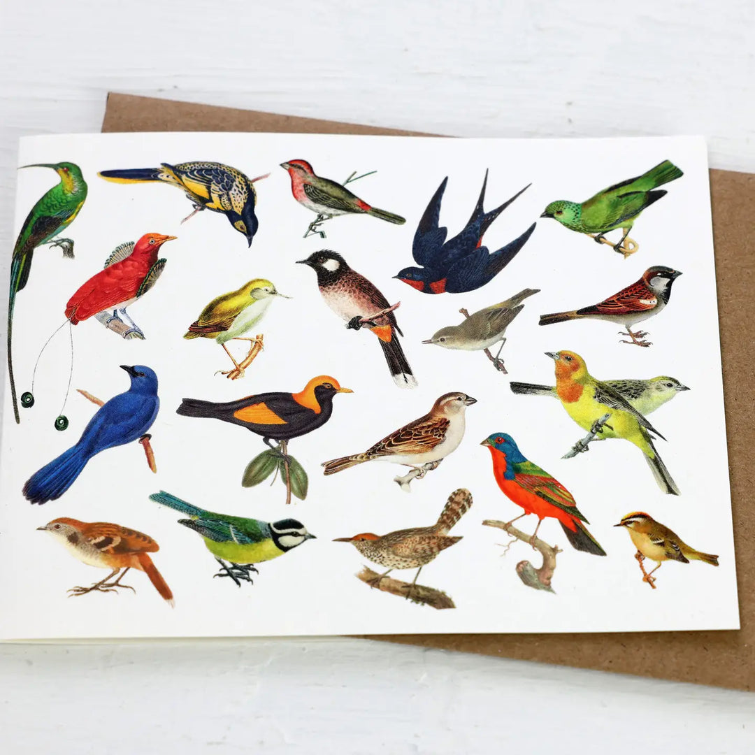 Birds History Card