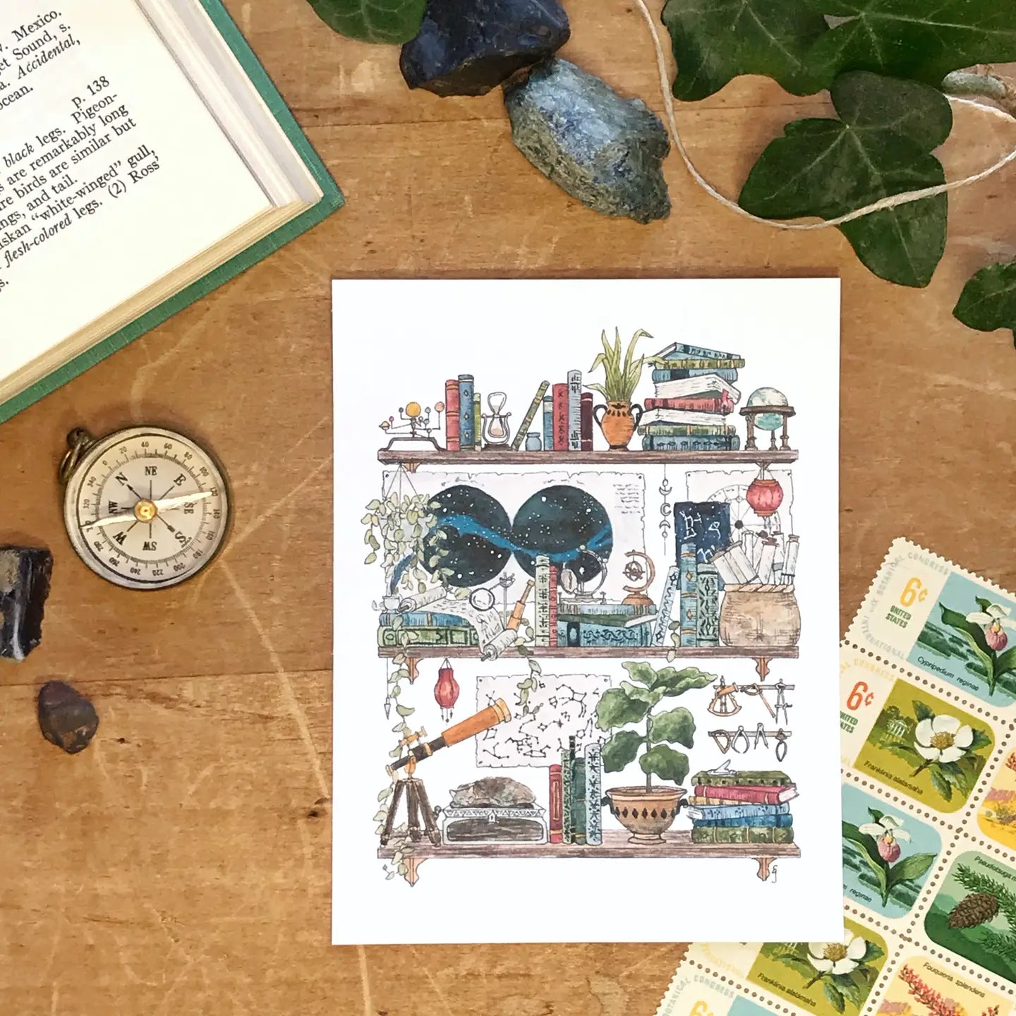 Shelves of Whimsical Occupations Postcards - 24 Options