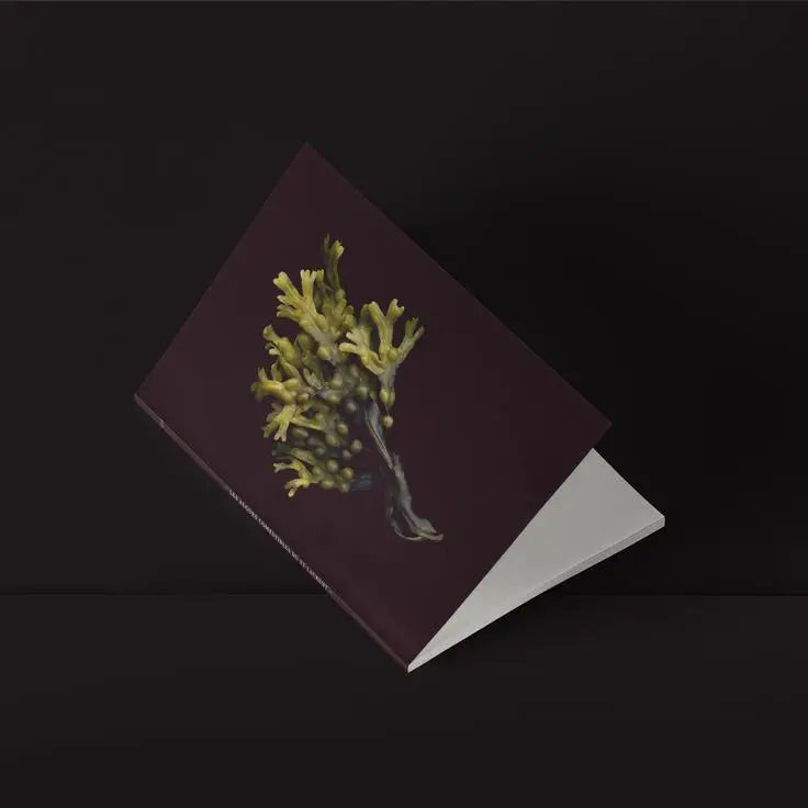 Mystery Mini Seaweed Specimen Notebook