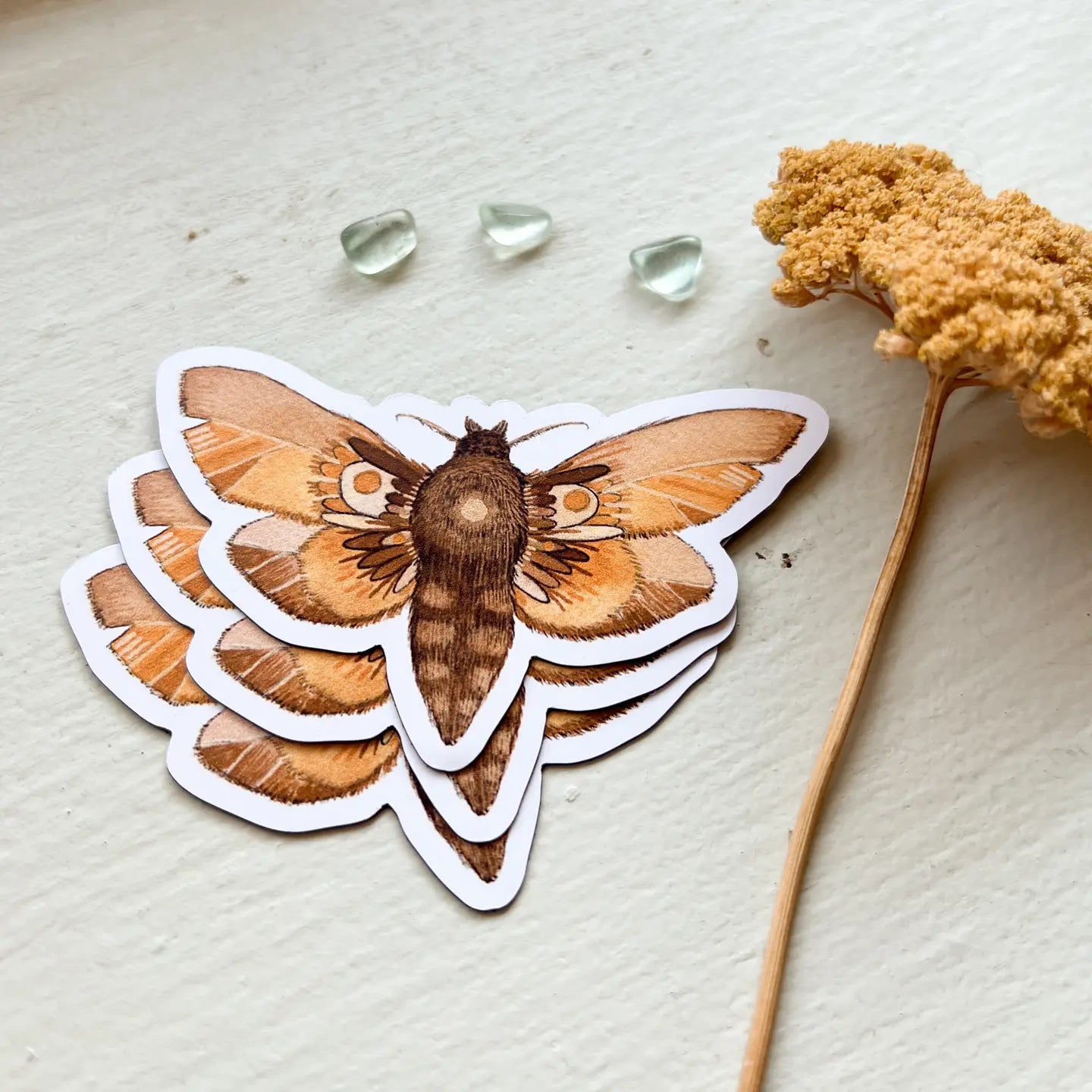 Autumn Moth Magnet