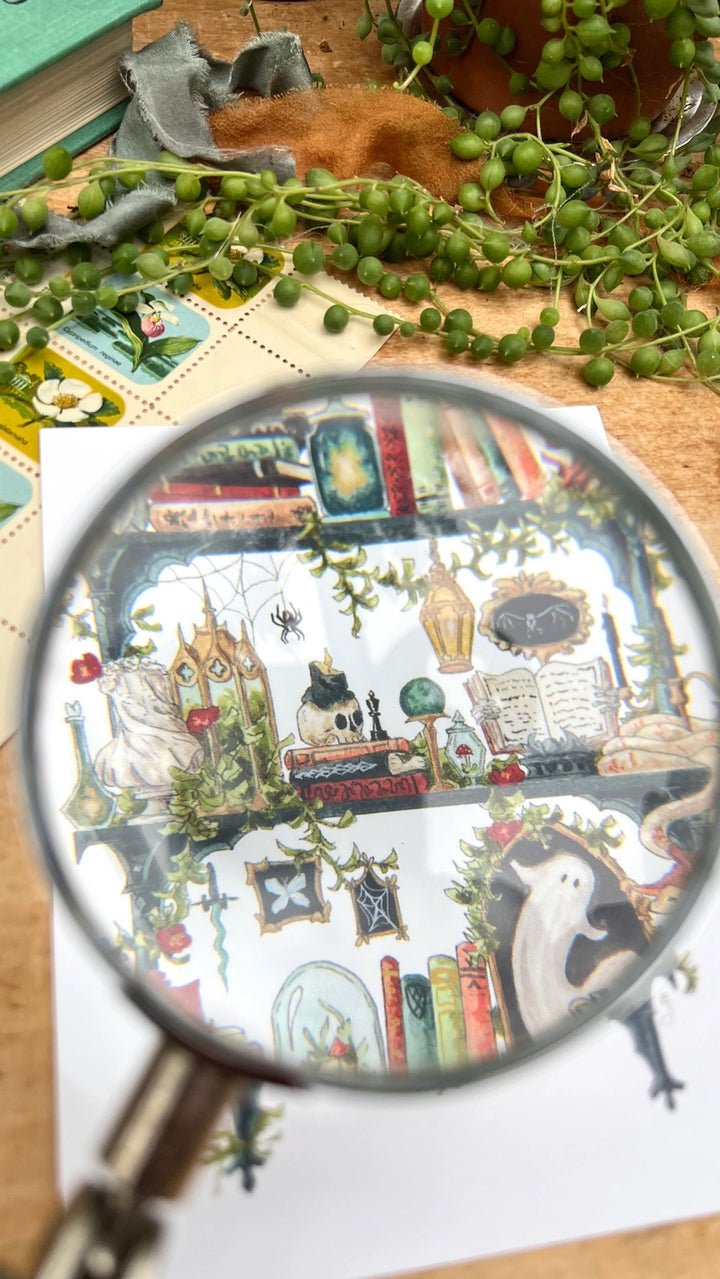 The Gothic Witch's Shelves Postcard
