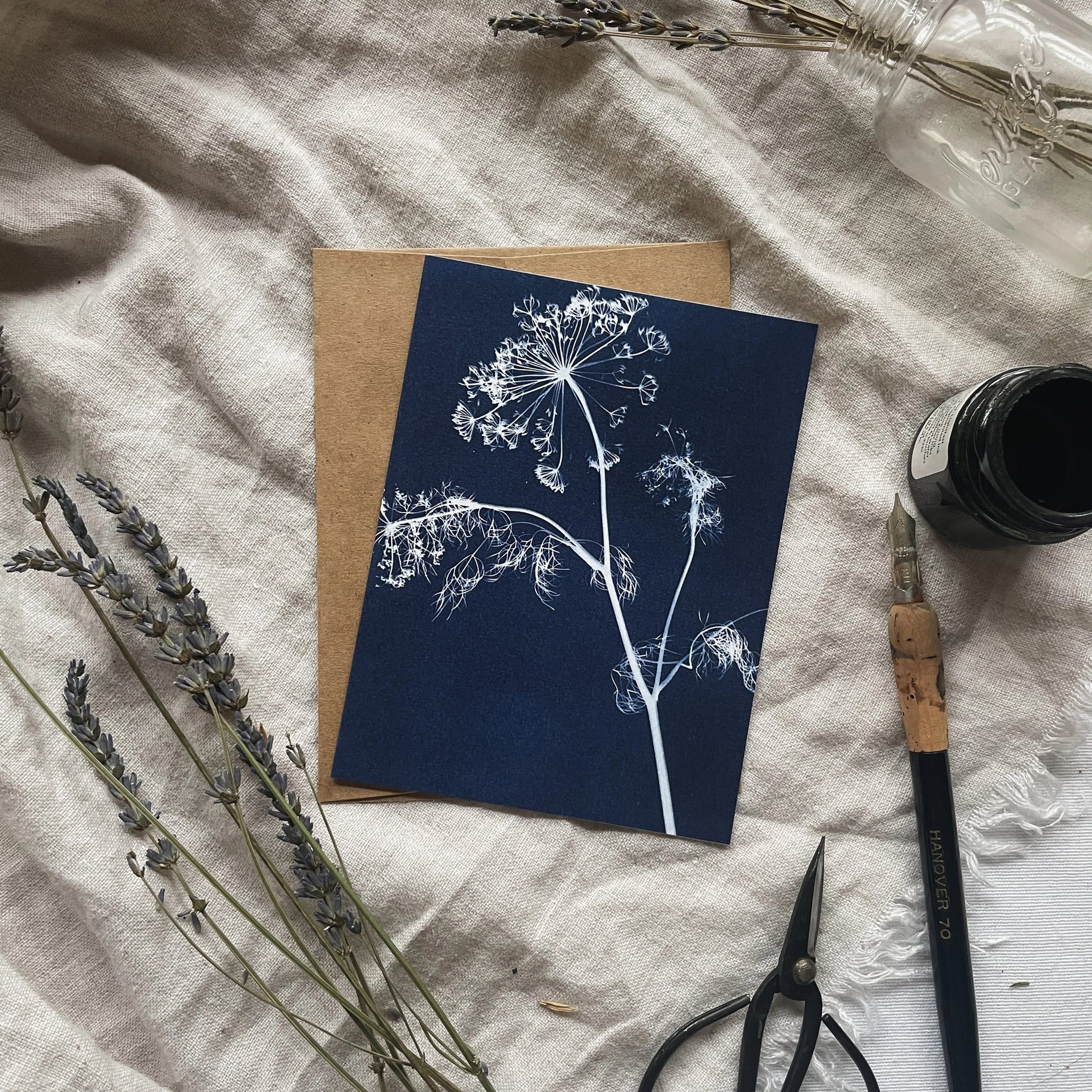 Herbs - Botanical Cyanotype Cards Boxed Set