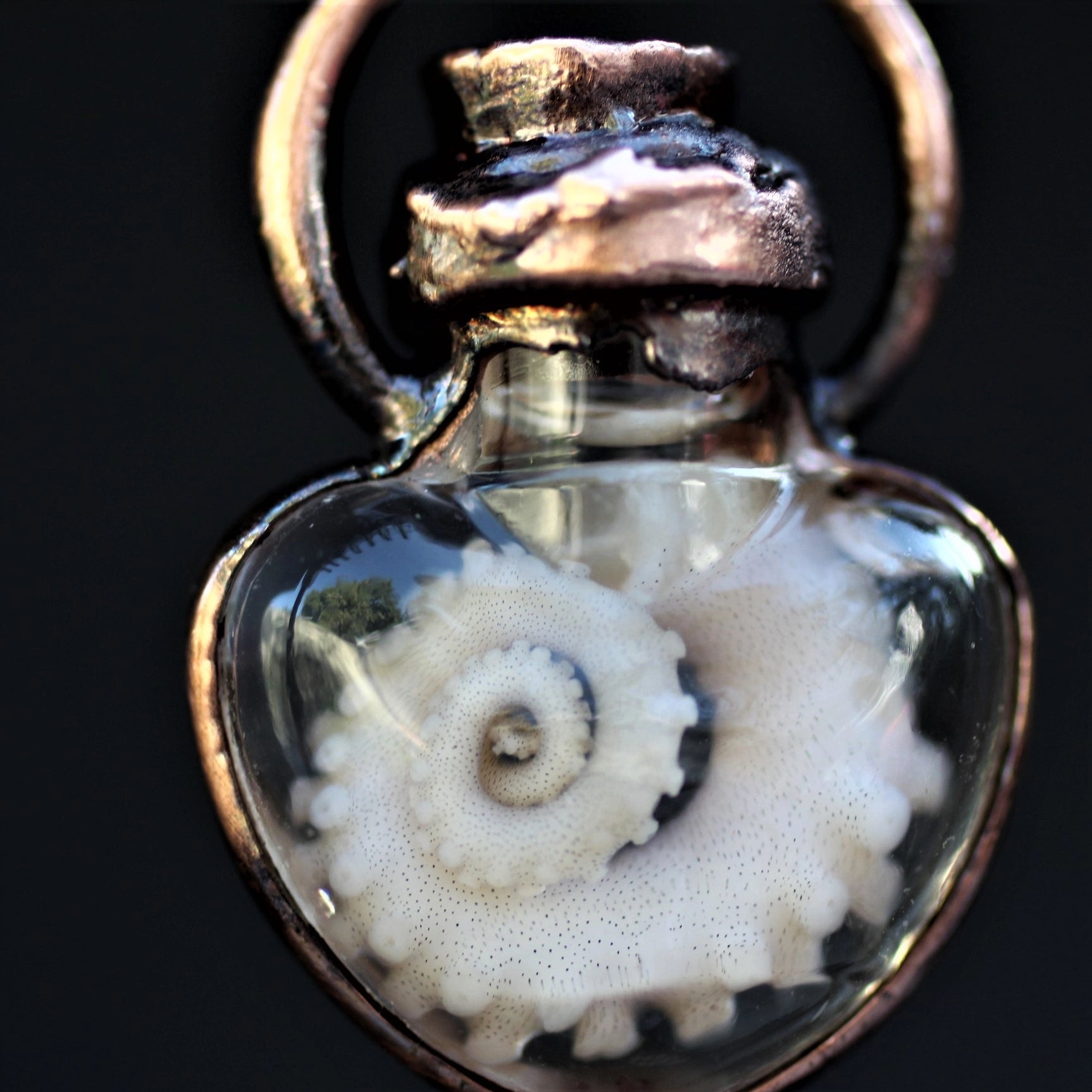 Octopus Tentacle Wet Specimen Necklace