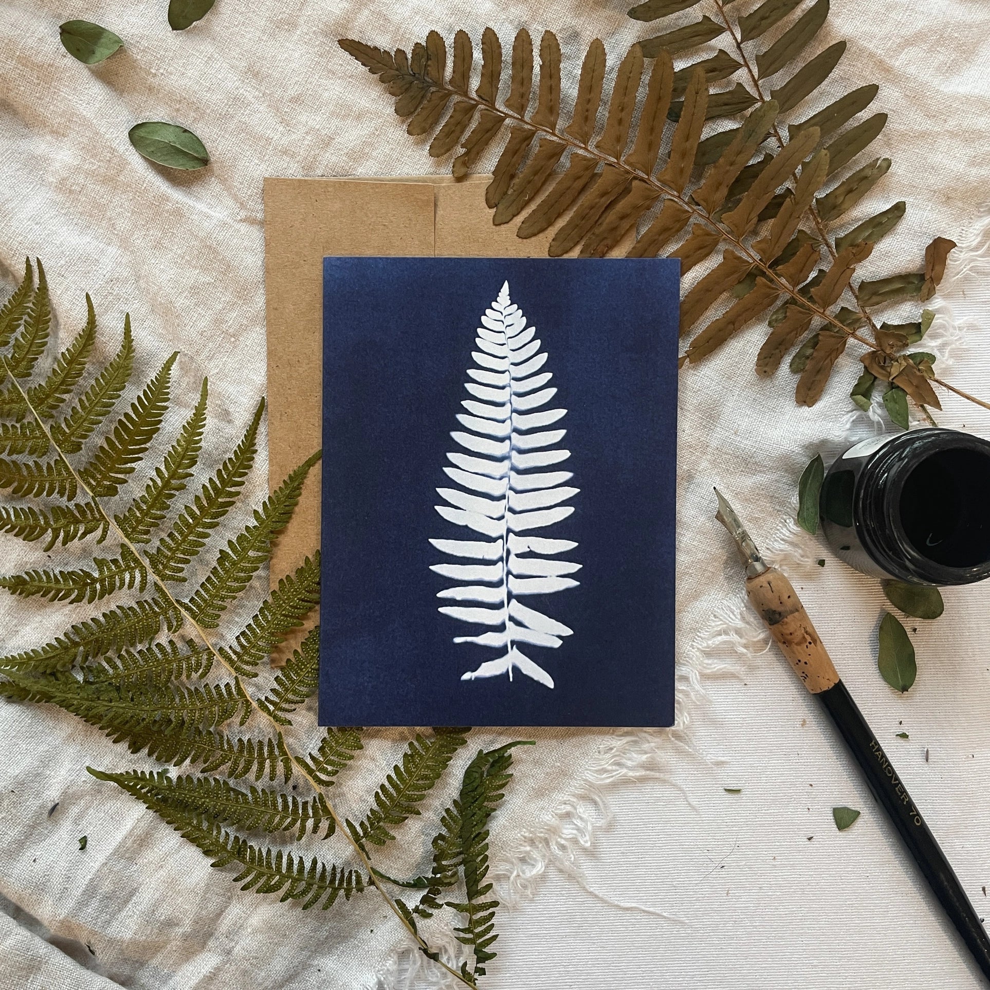 Ferns - Botanical Cyanotype Cards Boxed Set