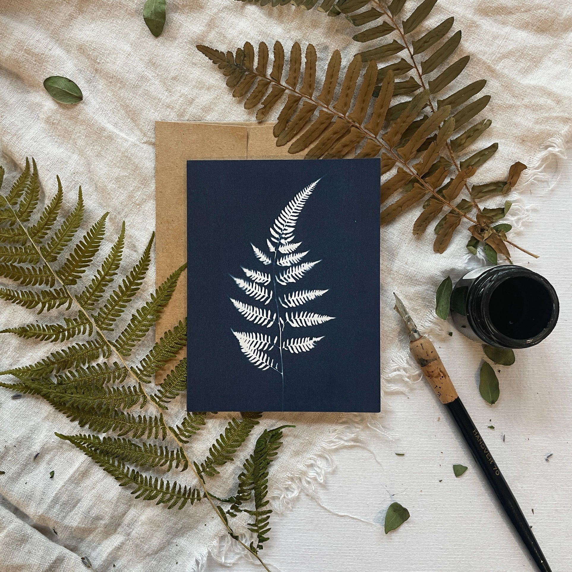 Ferns - Botanical Cyanotype Cards Boxed Set