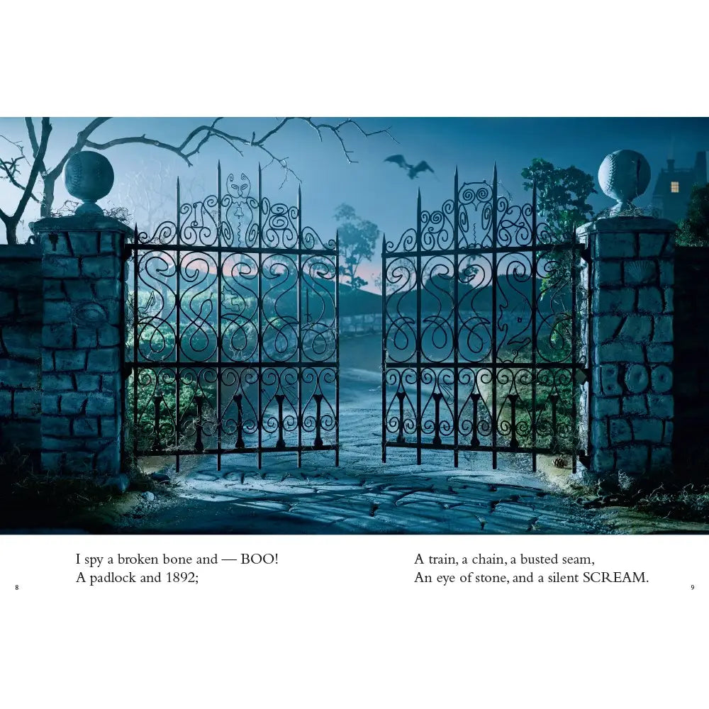 I Spy: A Book of Picture Riddles - 15 Styles