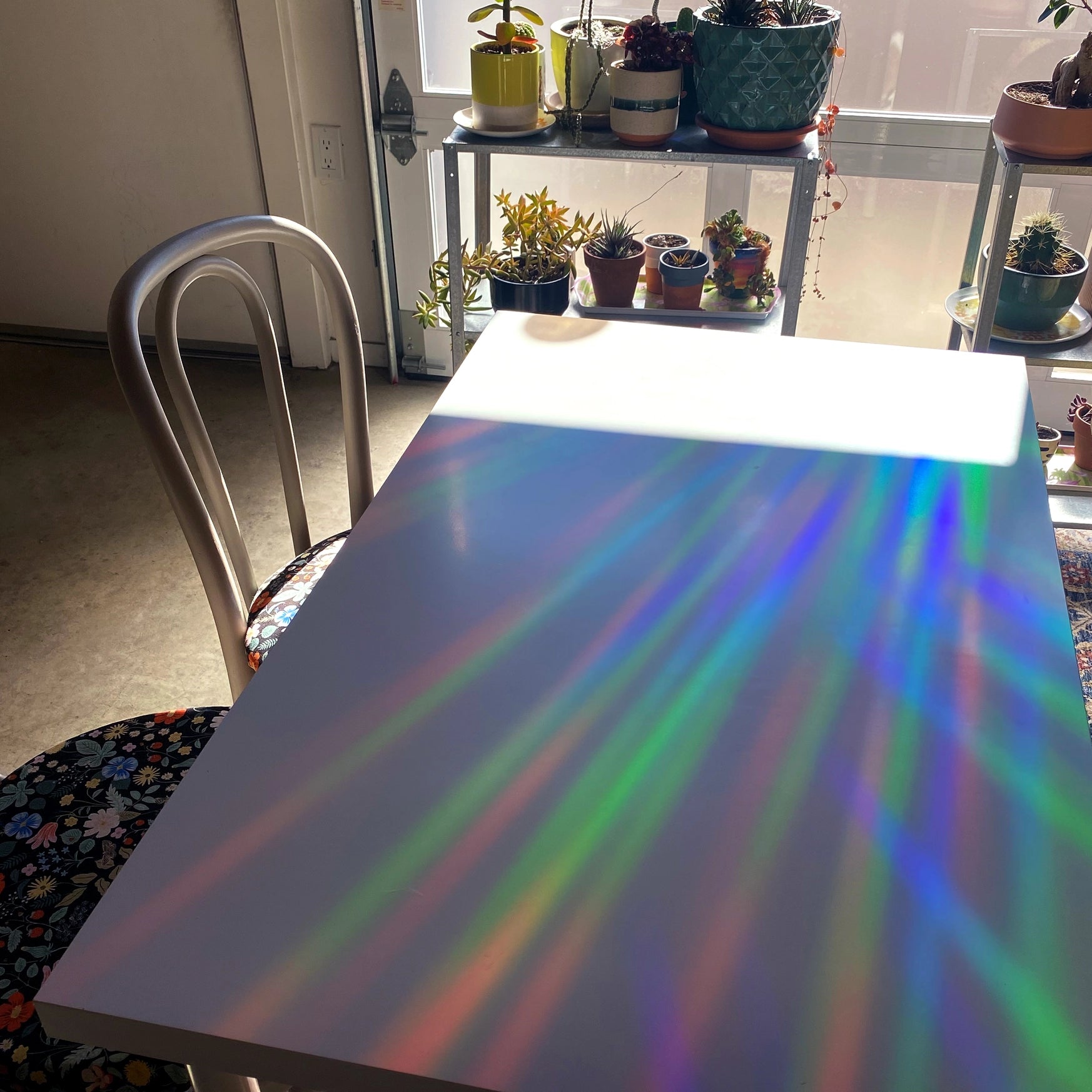 Lotus & Beetle Suncatcher Sticker