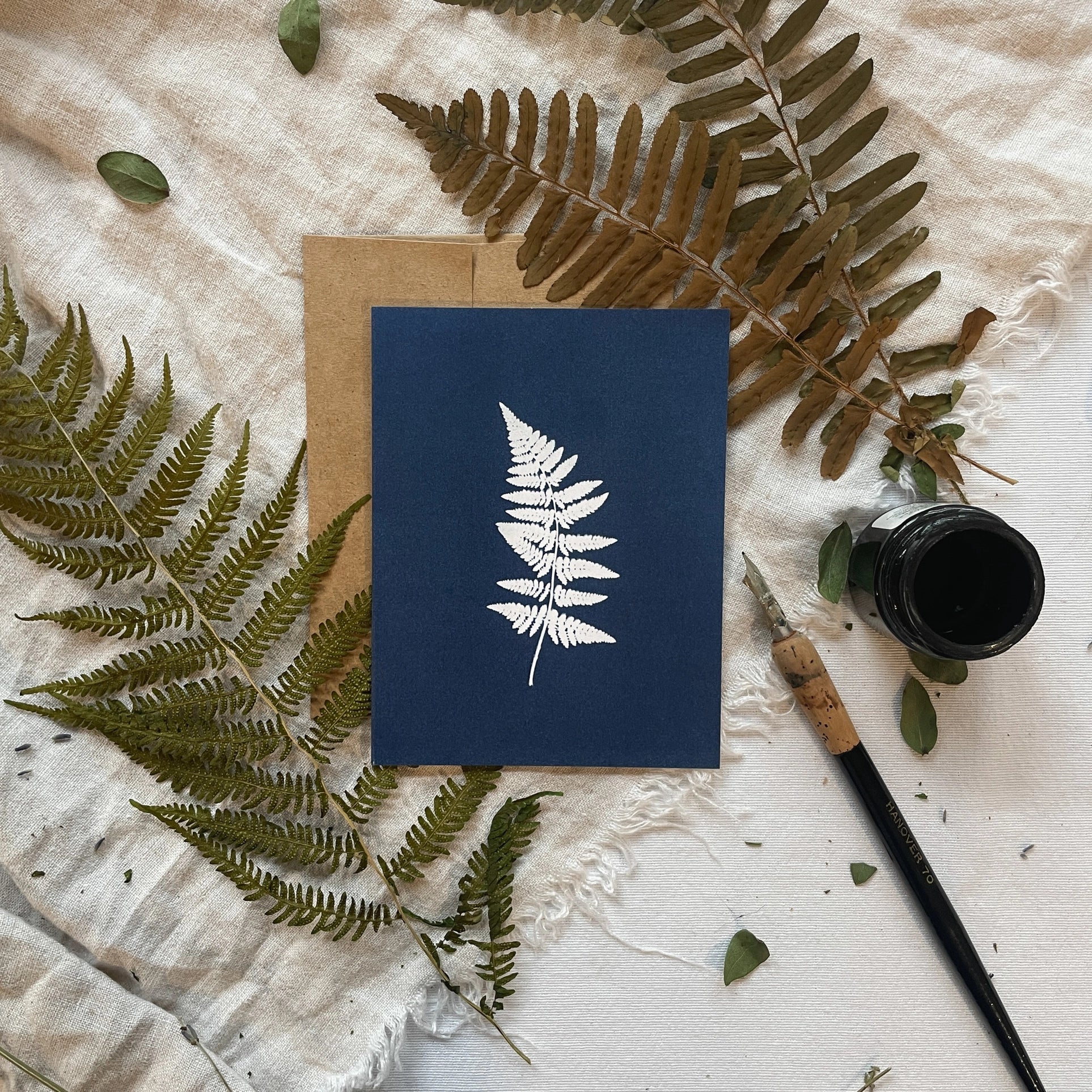 Ferns - Botanical Cyanotype Cards Boxed Set