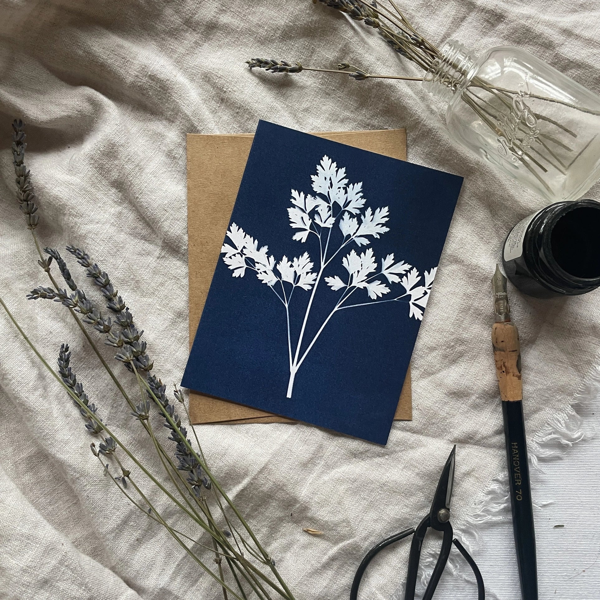 Herbs - Botanical Cyanotype Cards Boxed Set