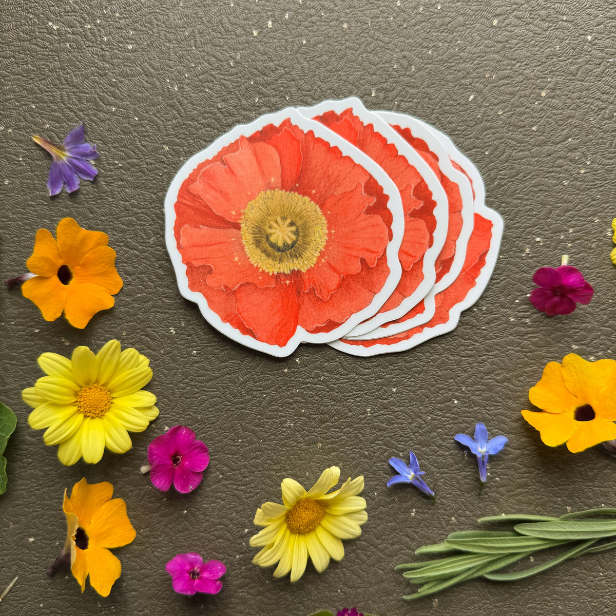 Icelandic Poppy Sticker