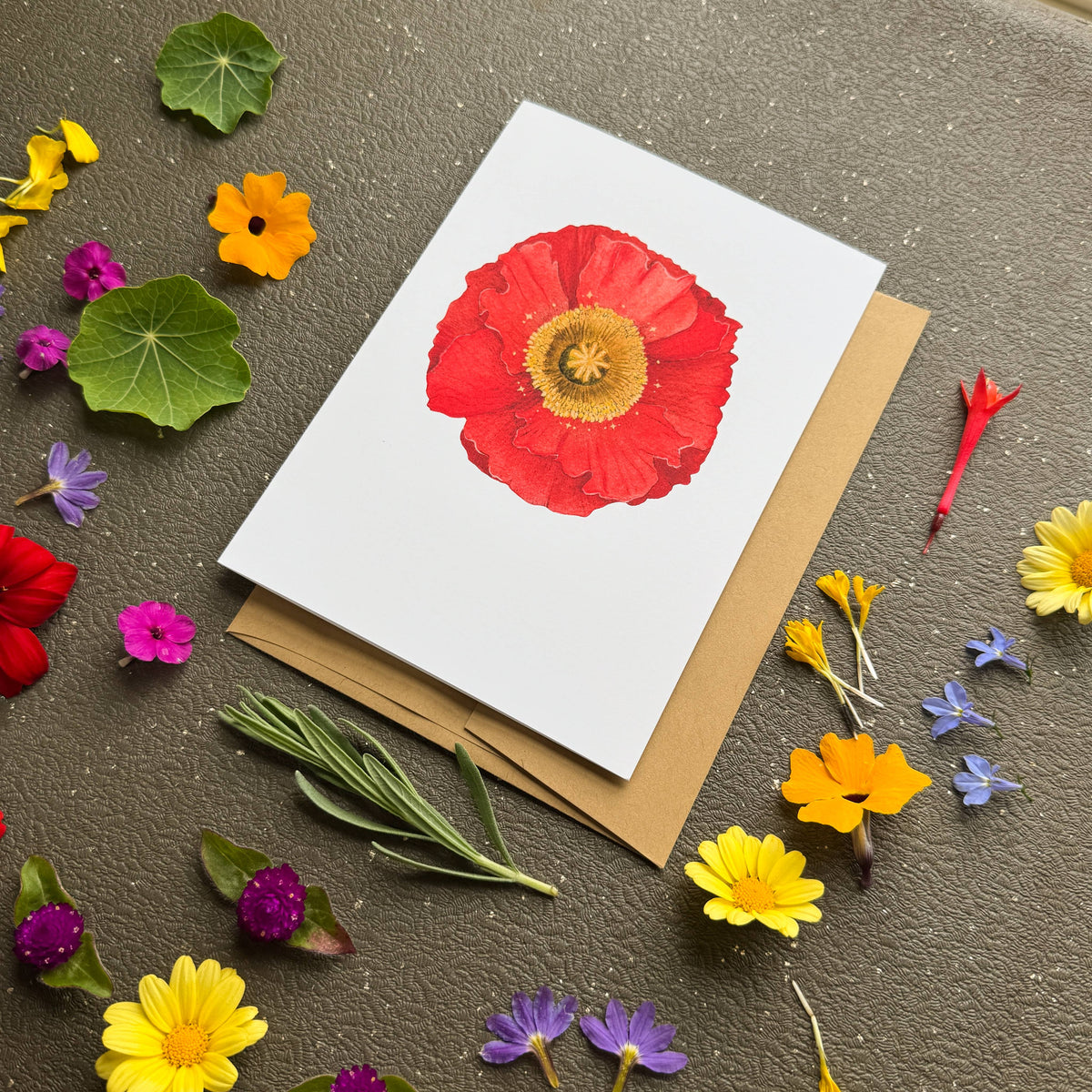 Icelandic Poppy Card