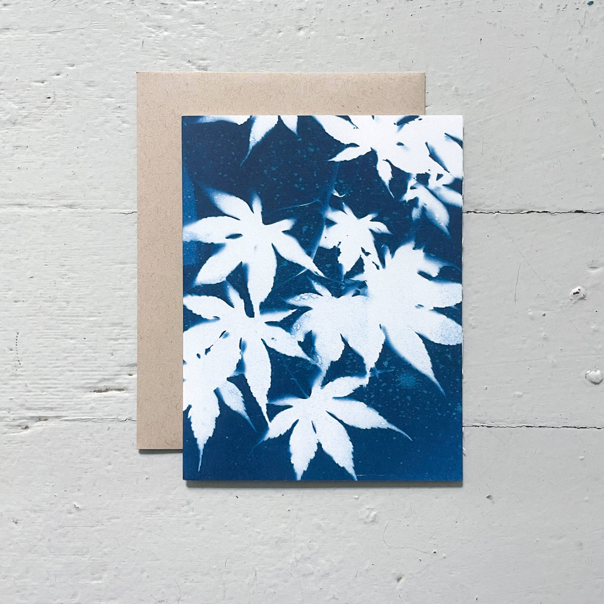 Slow Mornings - Botanical Cyanotype Cards Boxed Set