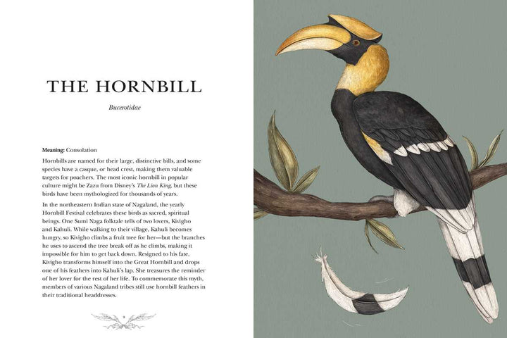 Ornithography: An Illustrated Guide to Bird Lore & Symbolism Book