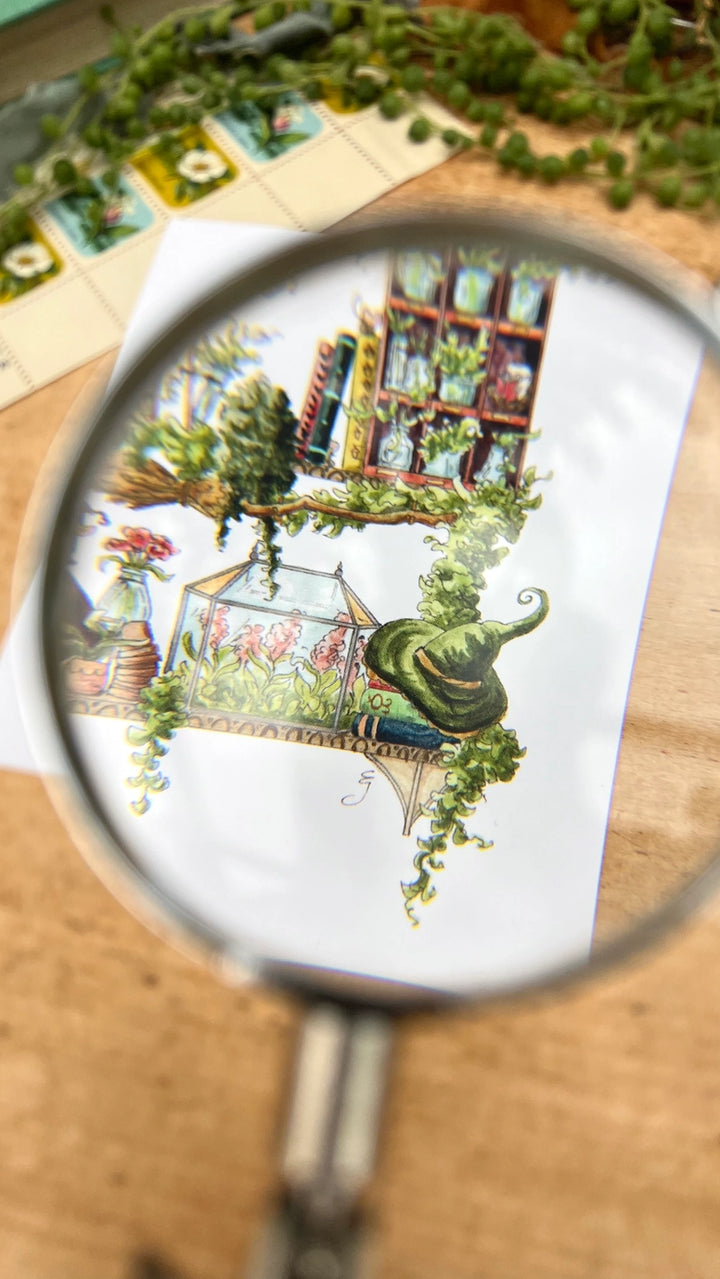 The Garden Witch's Shelves Postcard
