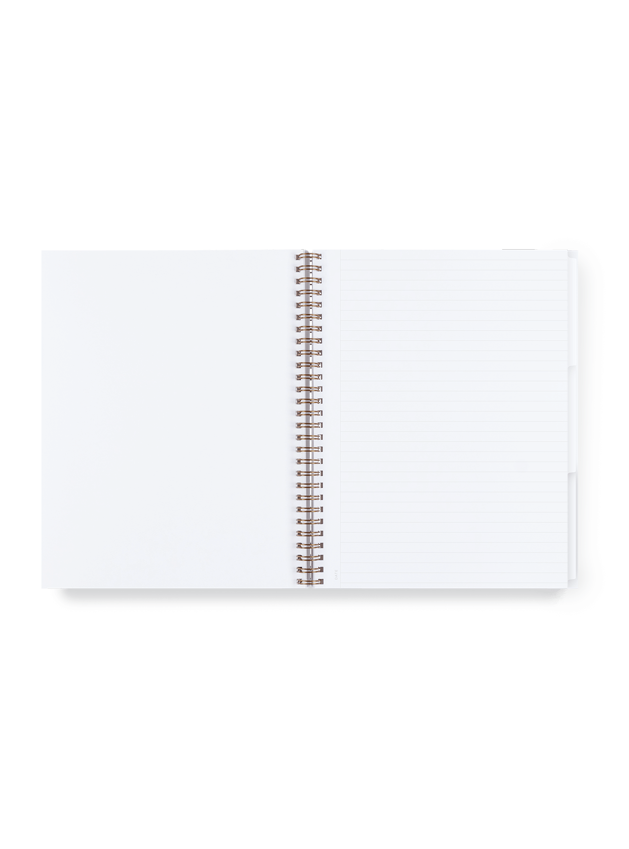 3 Subject Notebook Lined - 2 Options