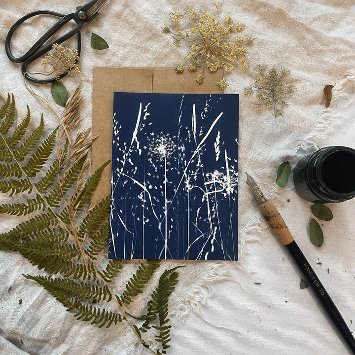 Field Studies - Botanical Cyanotype Cards Boxed Set