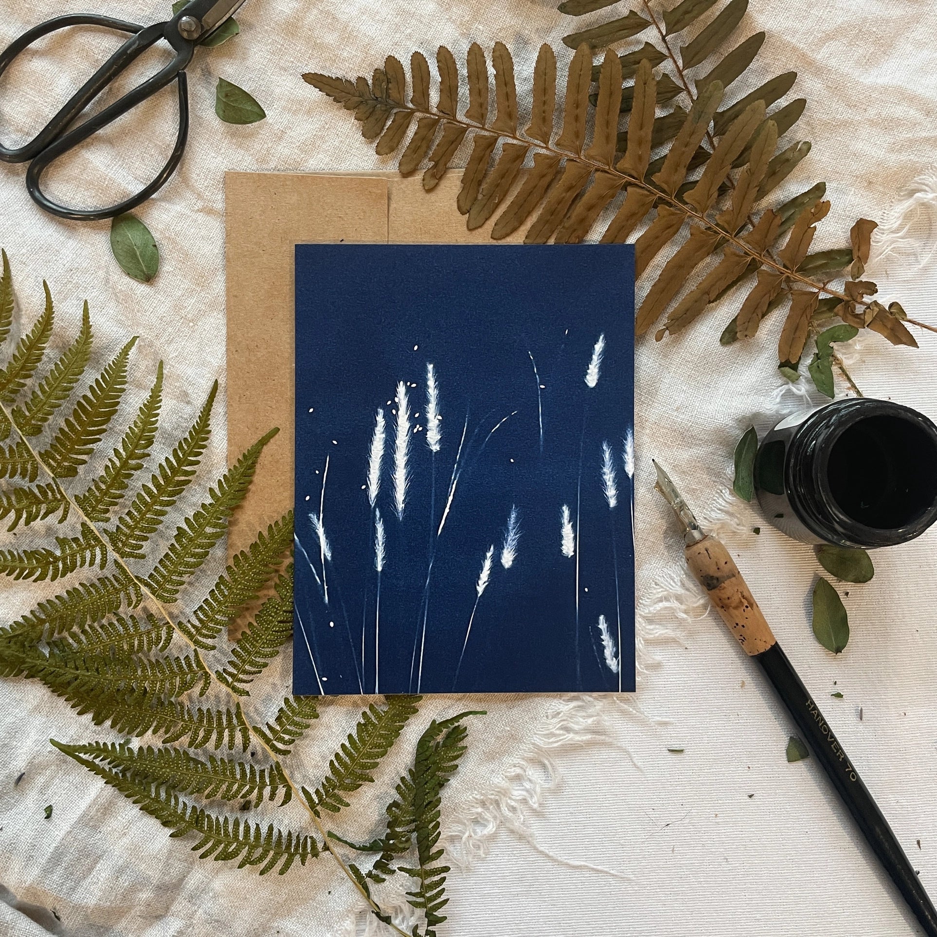 Field Studies - Botanical Cyanotype Cards Boxed Set