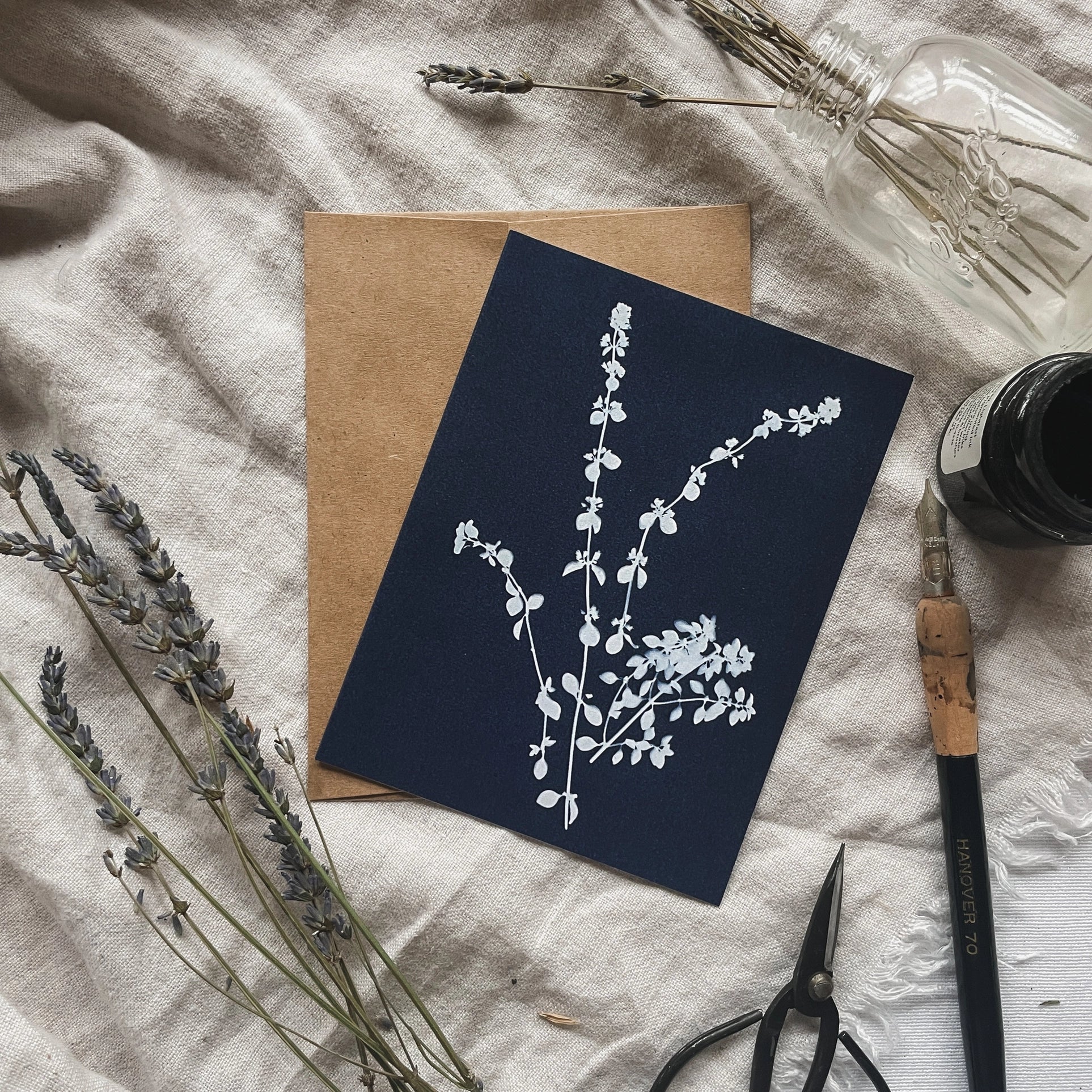 Herbs - Botanical Cyanotype Cards Boxed Set