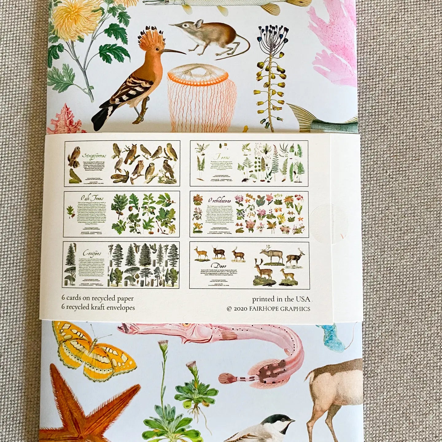 Woodland History Card Pack