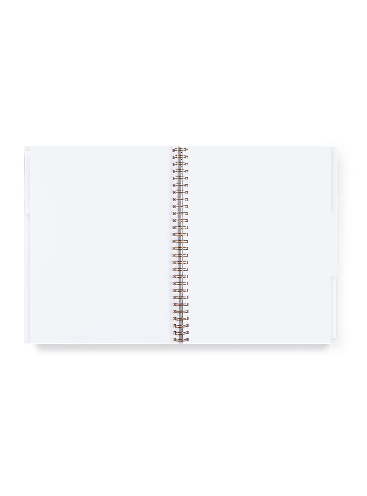 3 Subject Notebook Lined - 2 Options