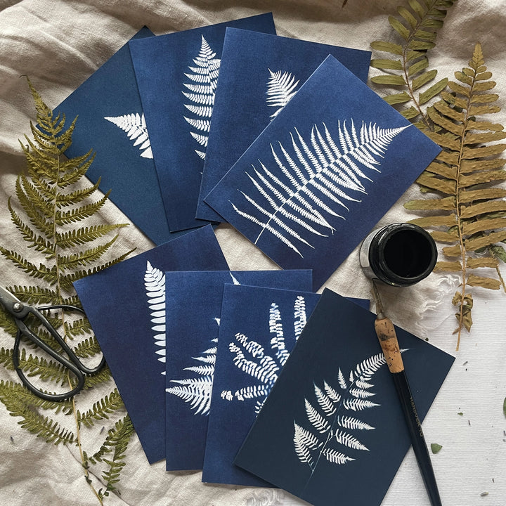 Ferns - Botanical Cyanotype Cards Boxed Set