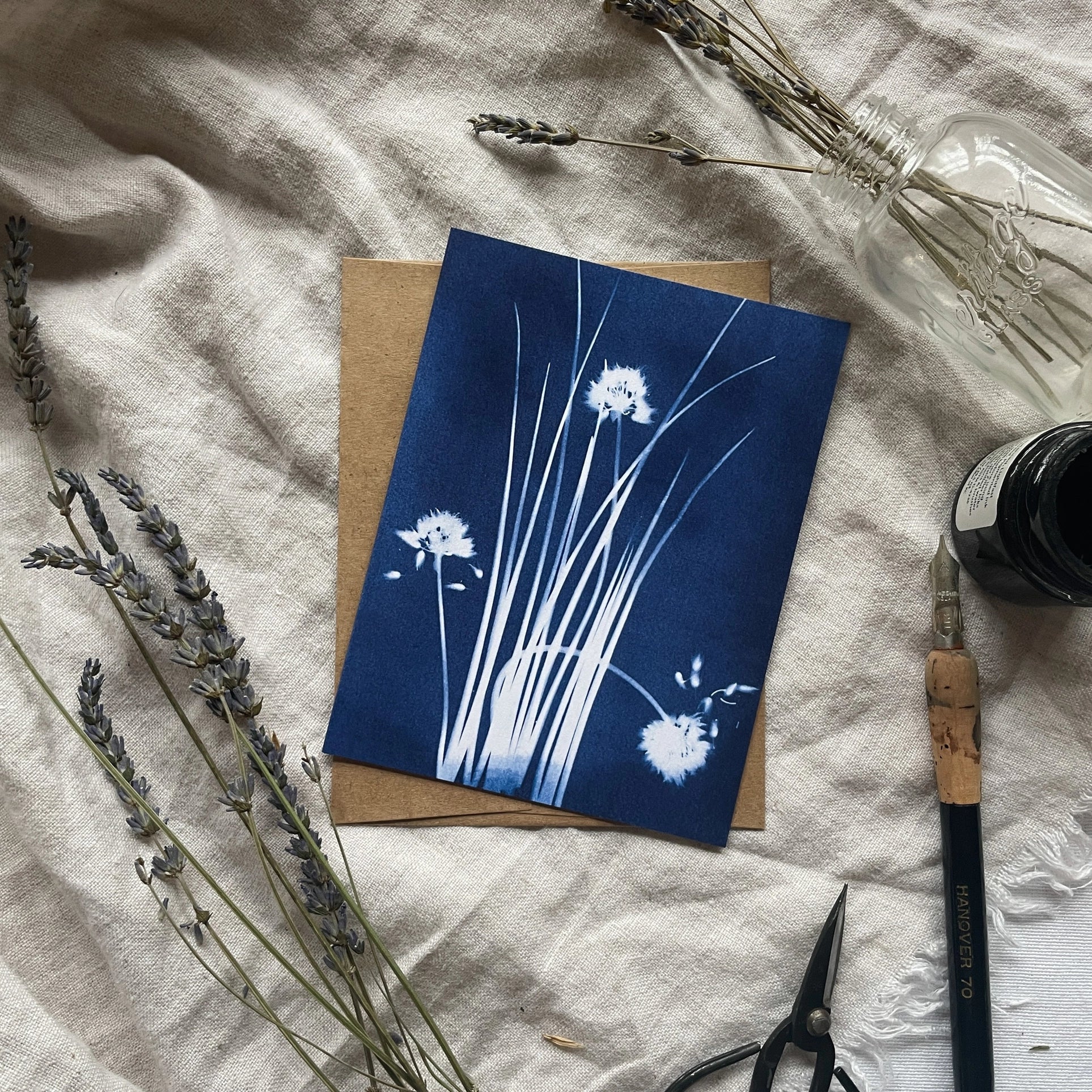 Herbs - Botanical Cyanotype Cards Boxed Set