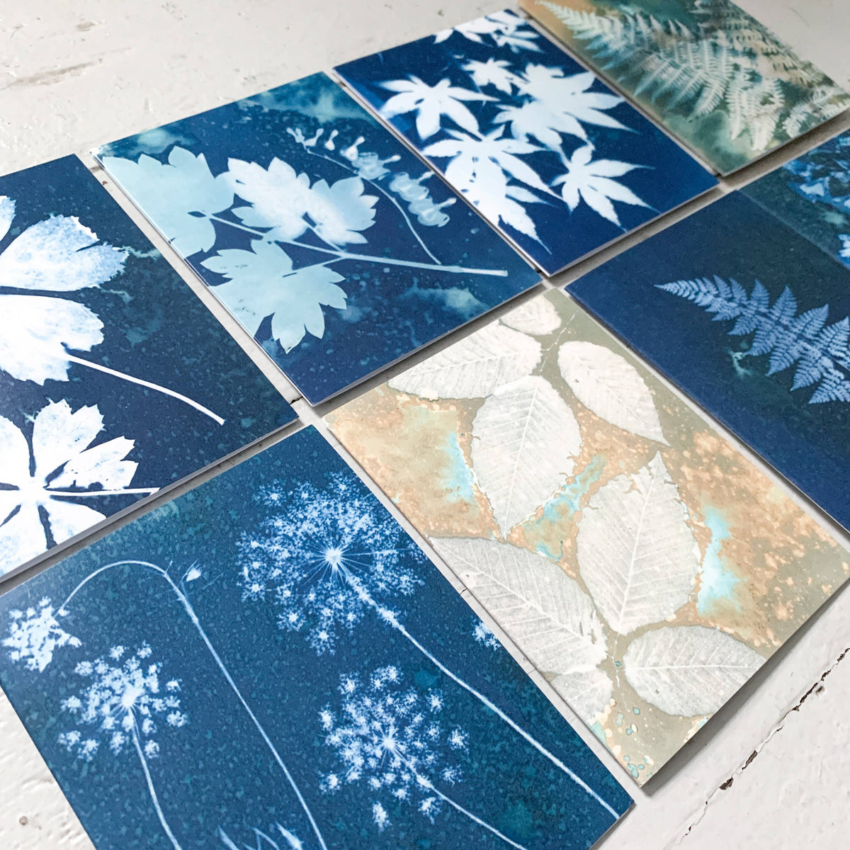 Slow Mornings - Botanical Cyanotype Cards Boxed Set