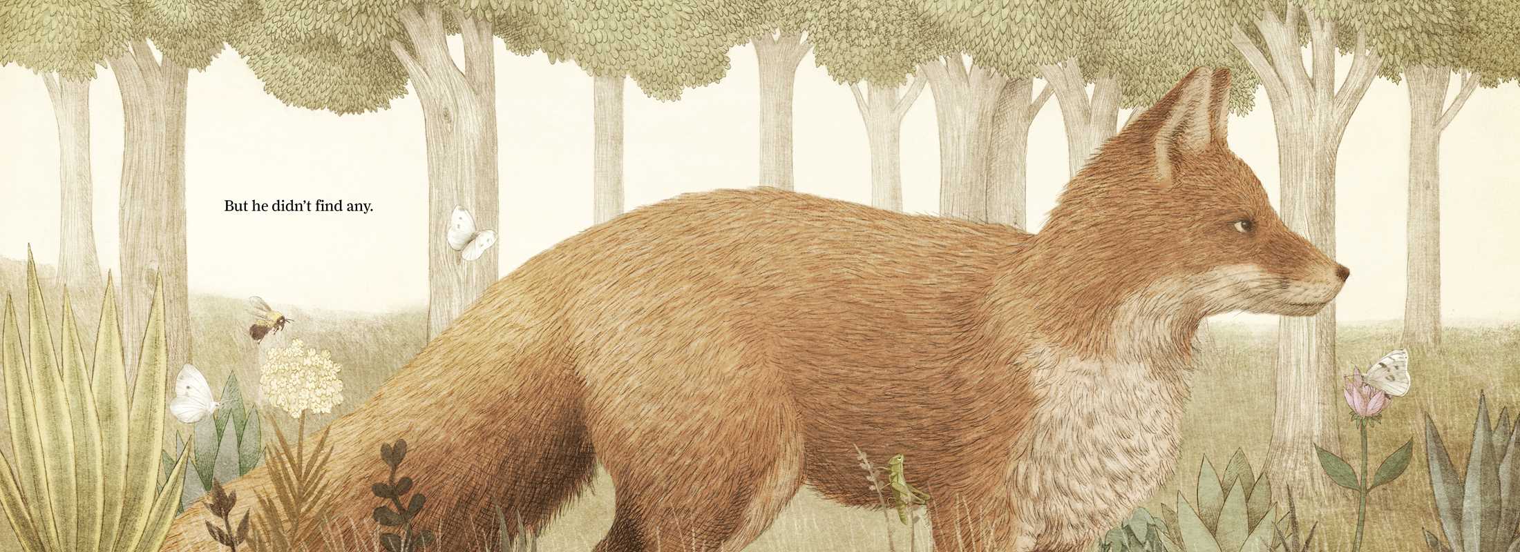 The Antlered Ship Book