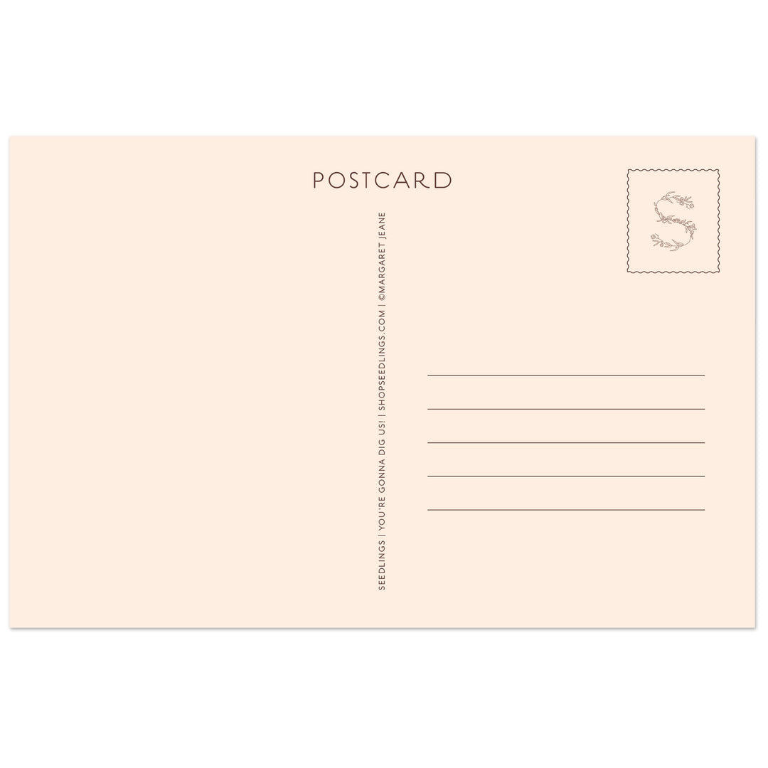 Cactus Seedlings Postcard Set