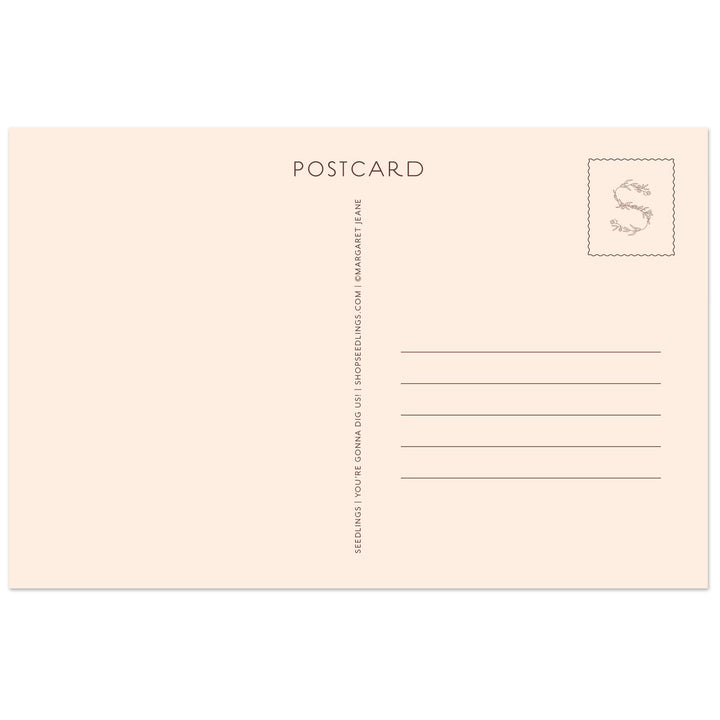 Cactus Seedlings Postcard Set