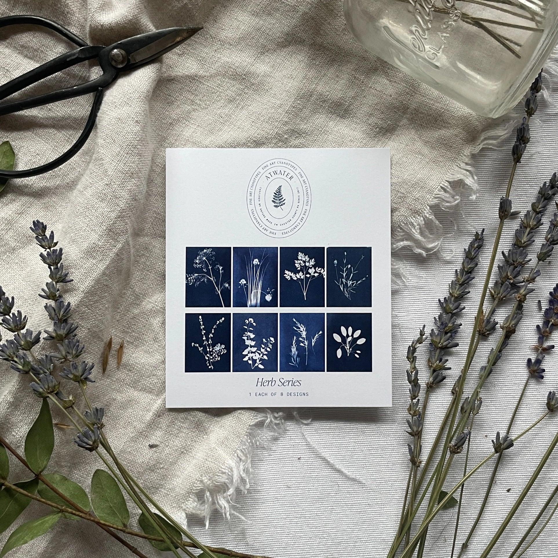 Herbs - Botanical Cyanotype Cards Boxed Set