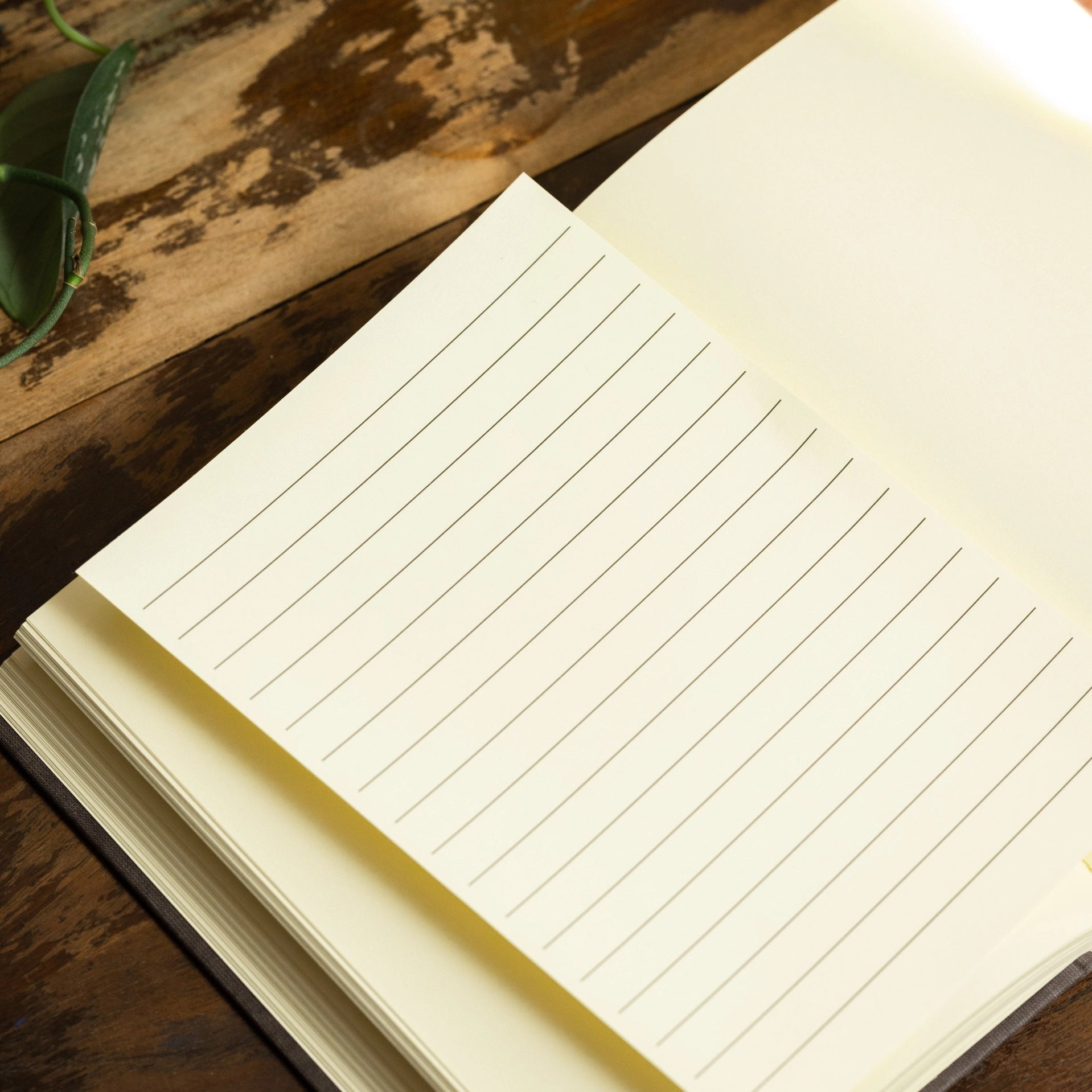 Winnie-The-Pooh Journal