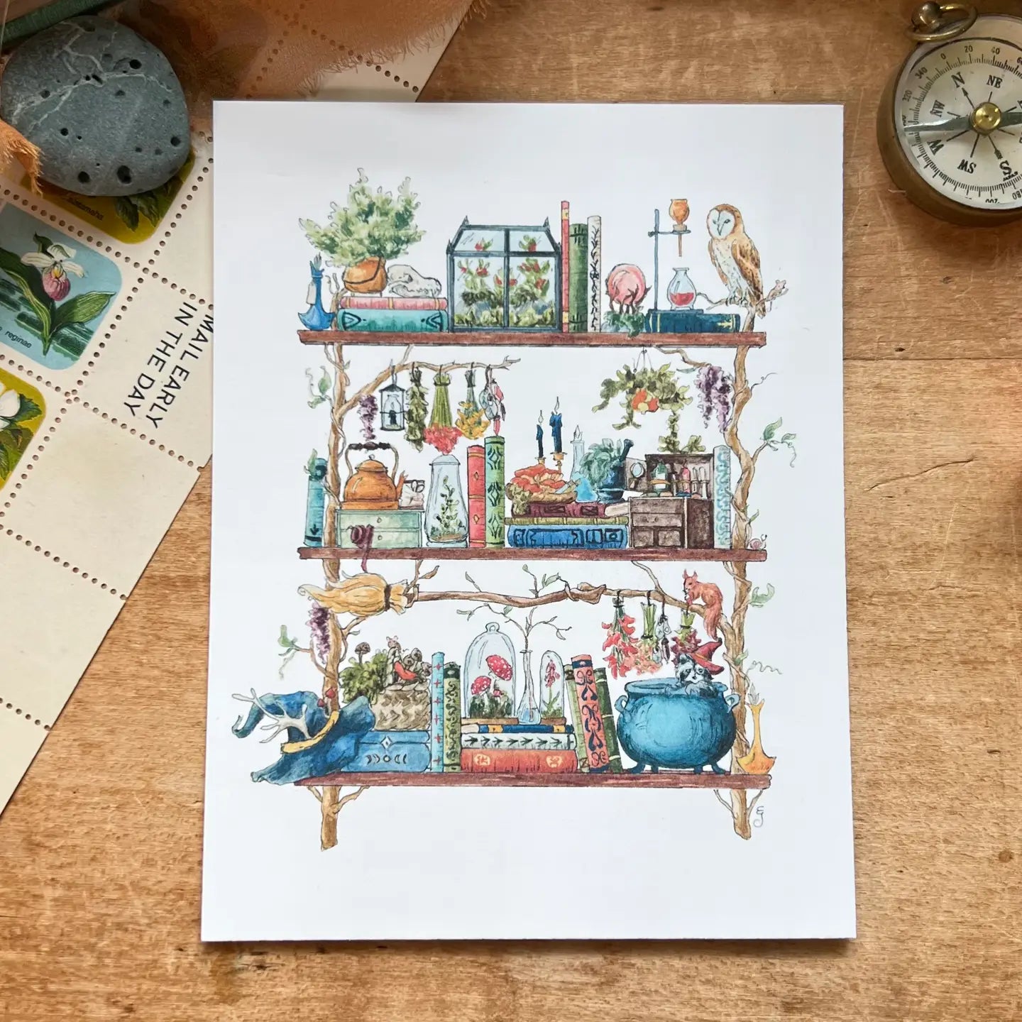 Shelves of Whimsical Occupations Postcards - 24 Options