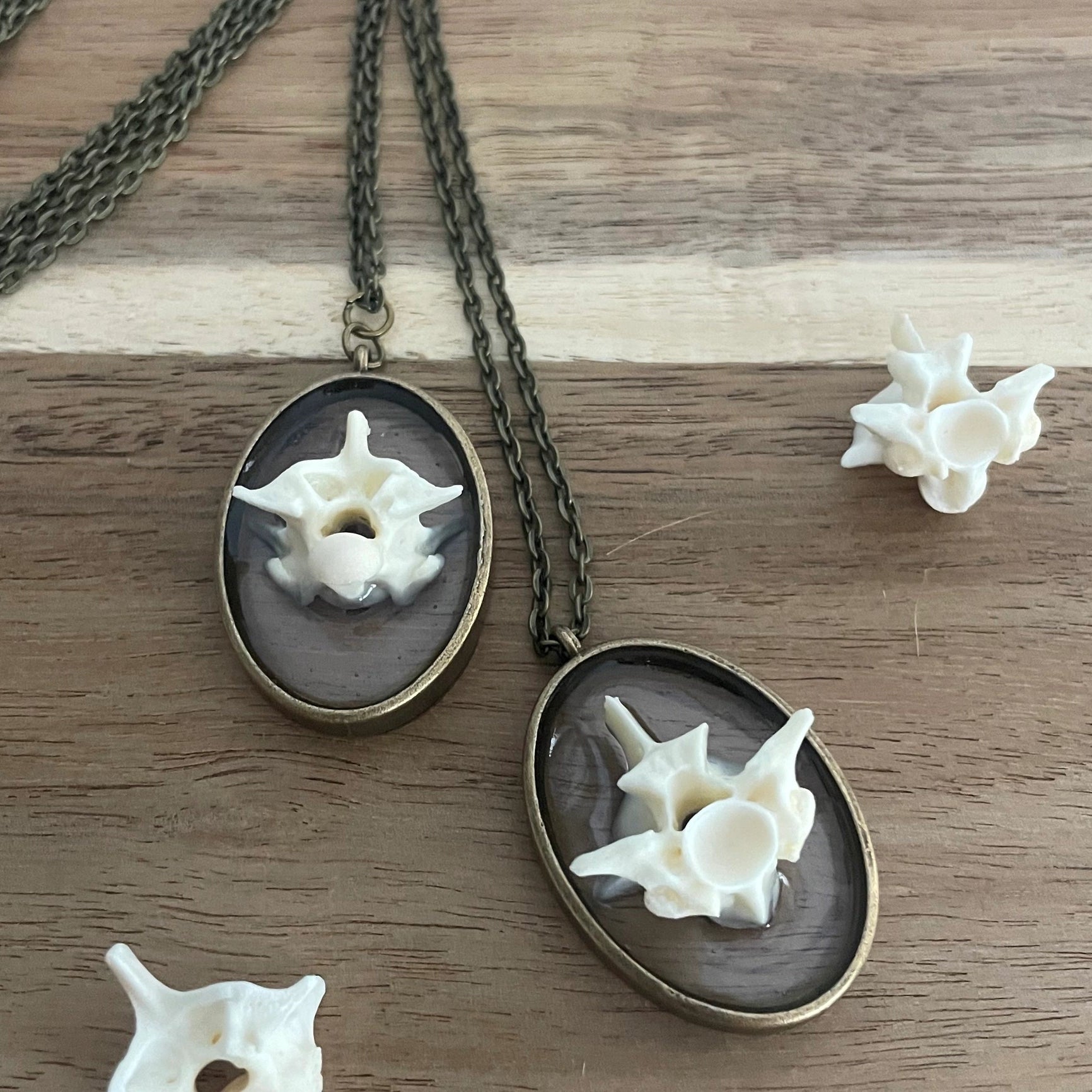 Ball Python Snake Vertebrae Bone Necklace