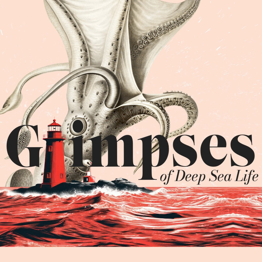 Glimpses of Deep Sea Life Mystery Theme Set