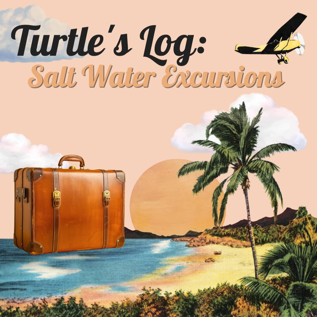 Turtle's Log: Salt Water Excursions Mystery Theme Set