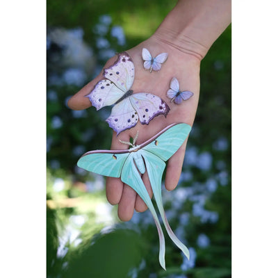 Hyacinth Paper Butterfly set