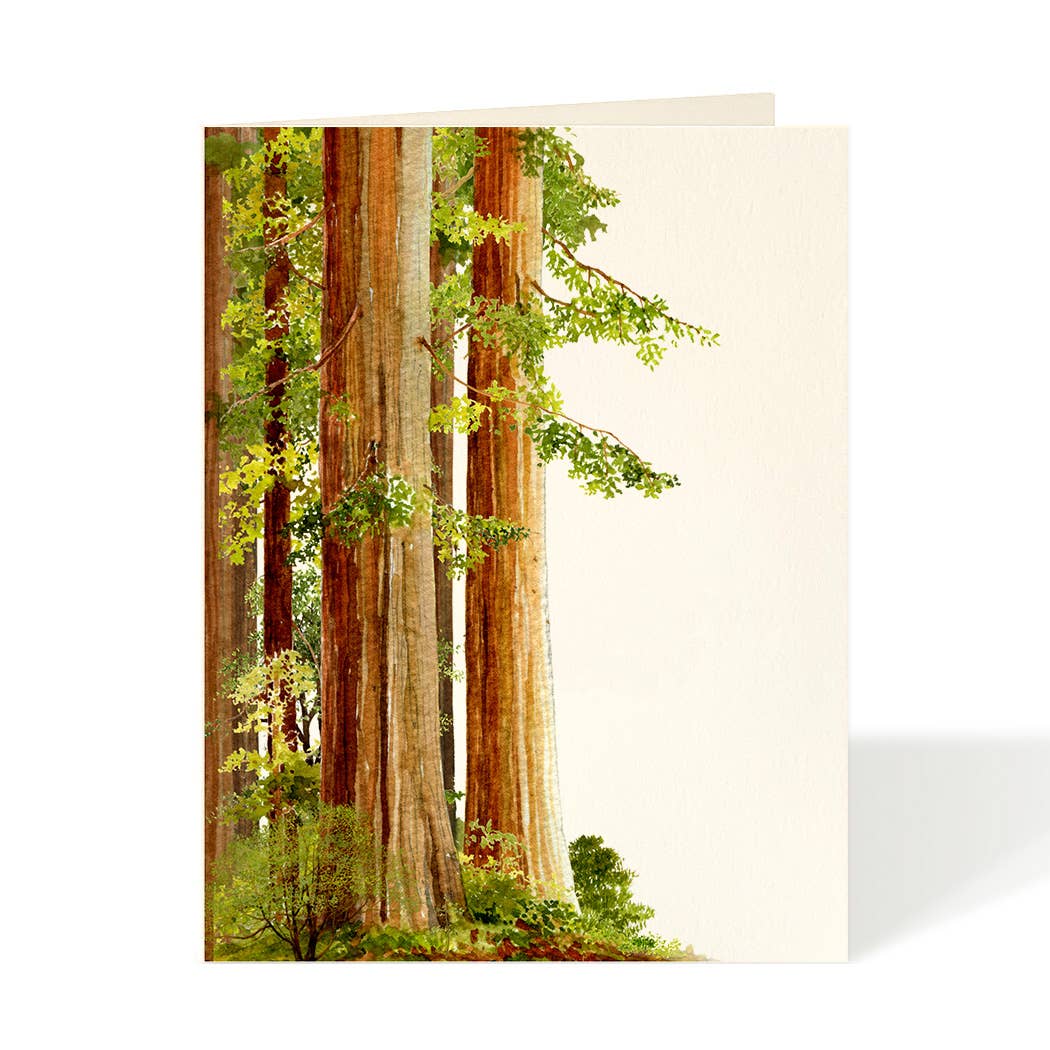 Redwoods Card