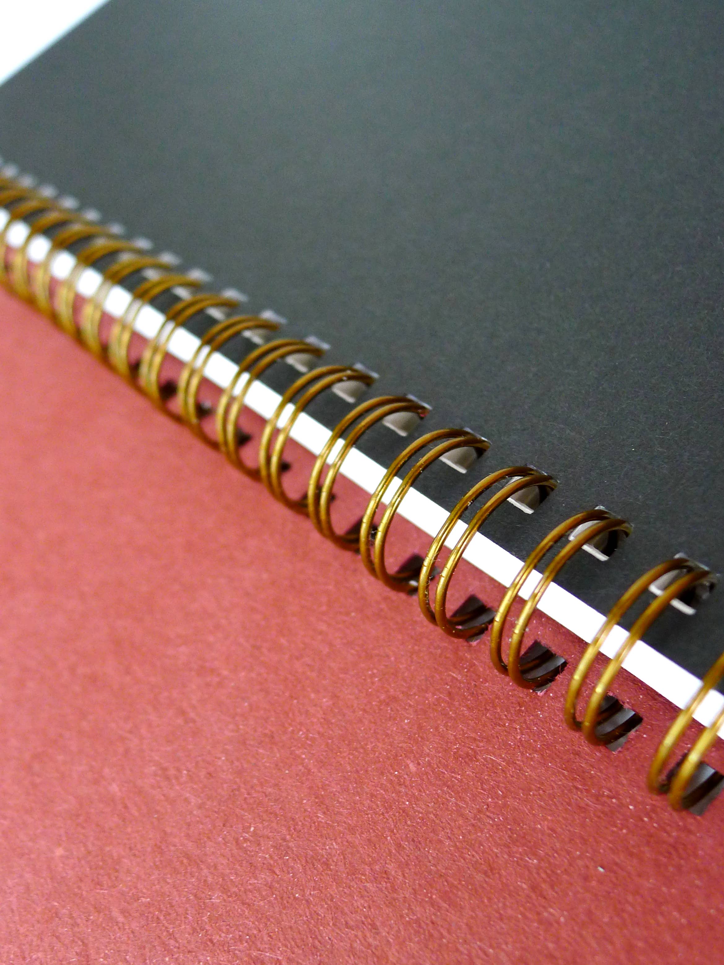 Corvid Lined Spiral Notebook