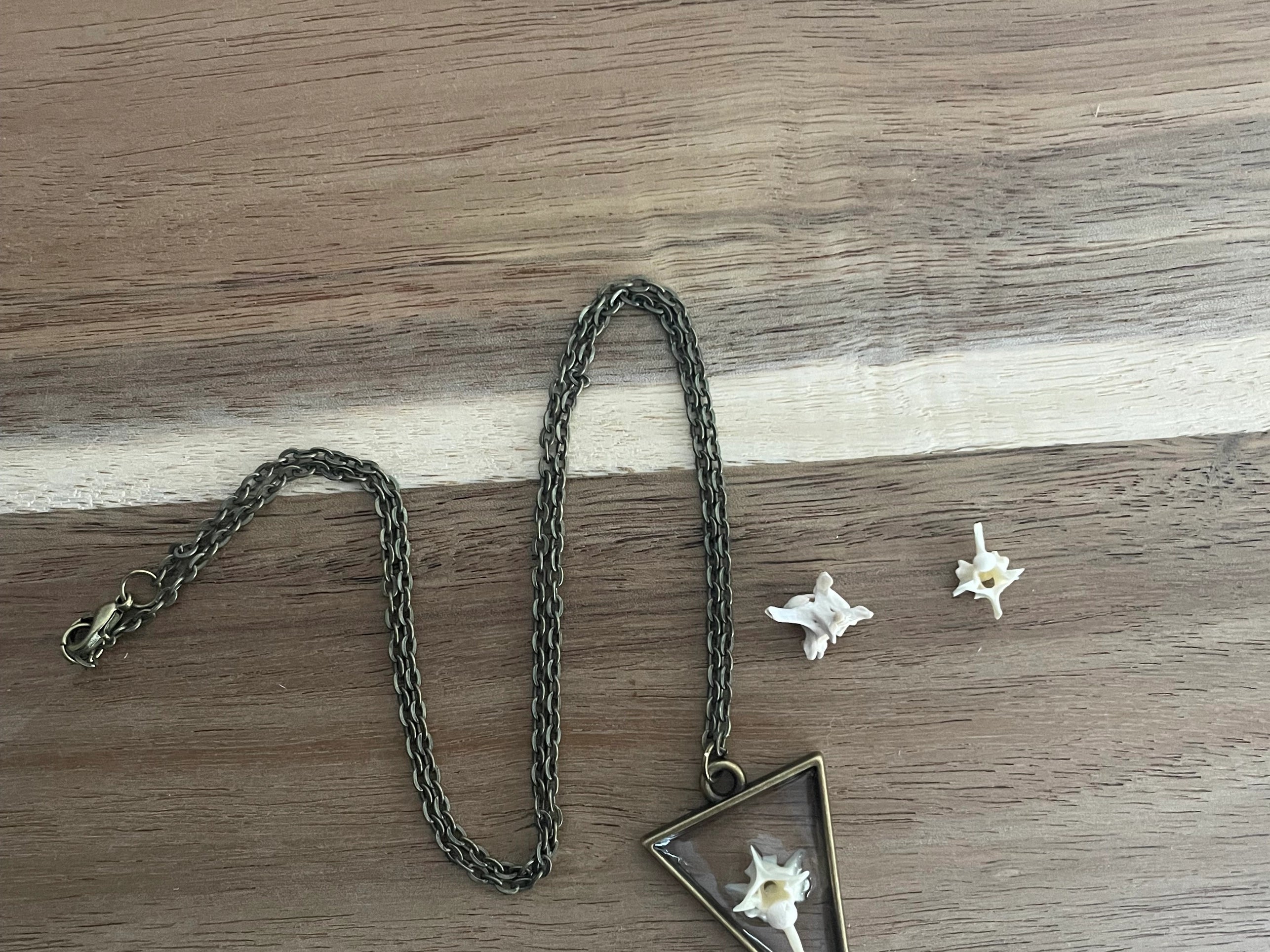 Pygmy Rattlesnake Vertebrae Necklace