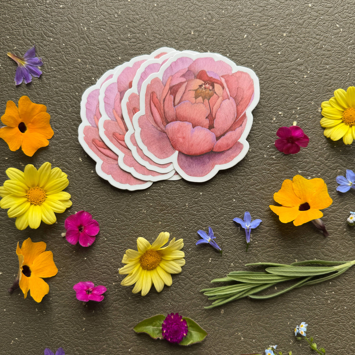 Peony Sticker