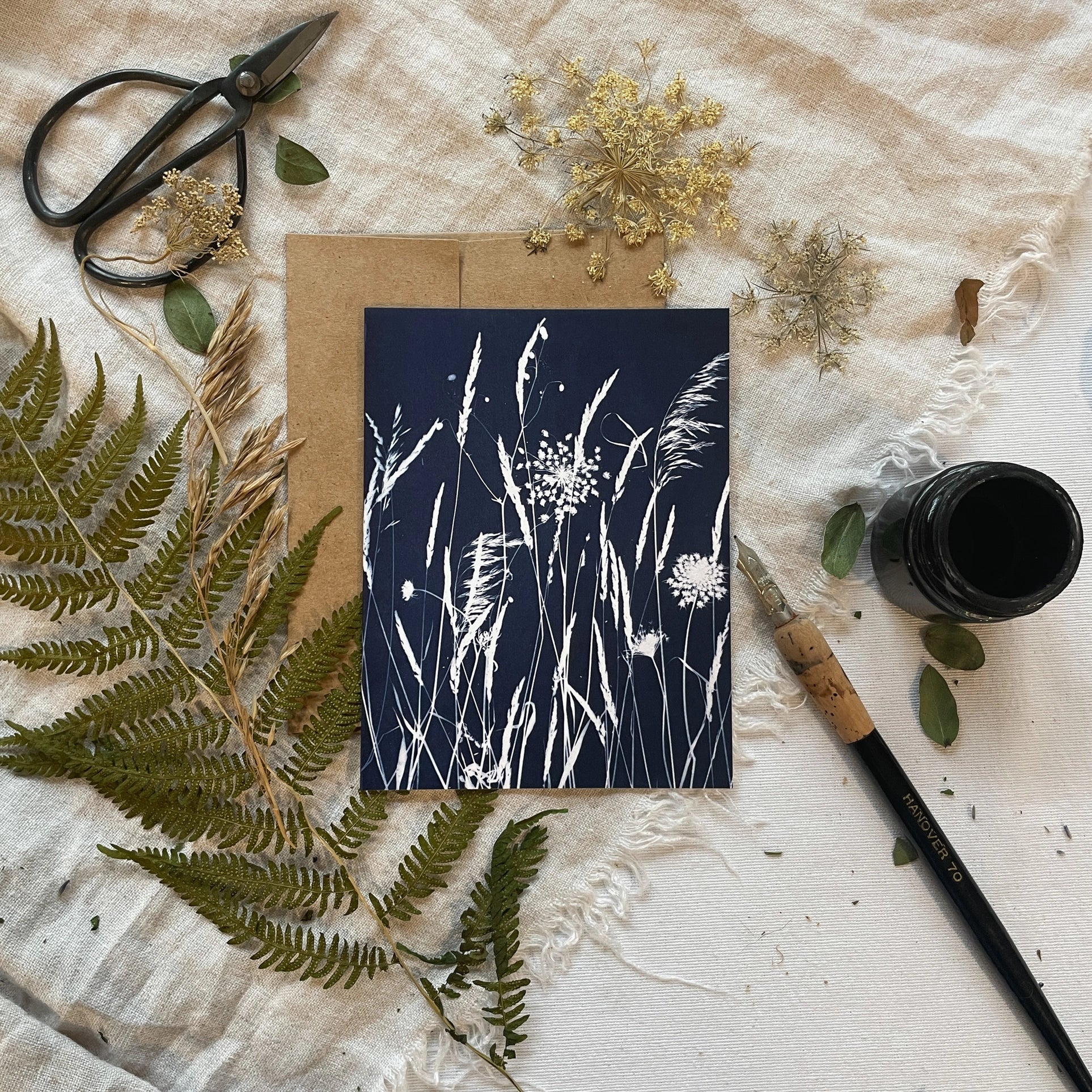Field Studies - Botanical Cyanotype Cards Boxed Set