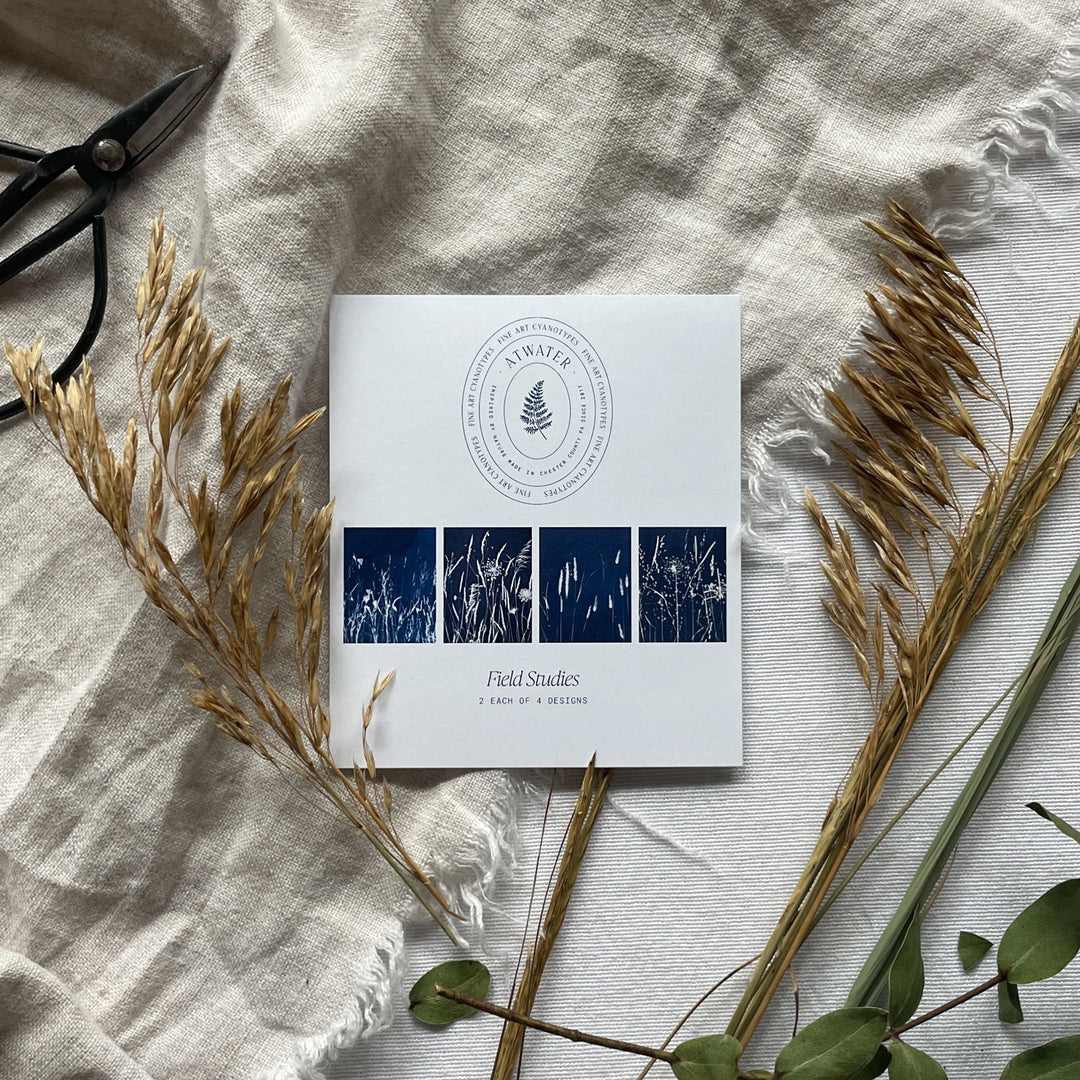 Field Studies - Botanical Cyanotype Cards Boxed Set