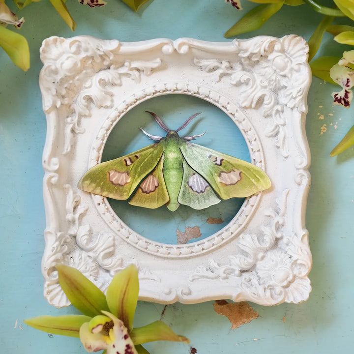 Limelight Paper Moth set