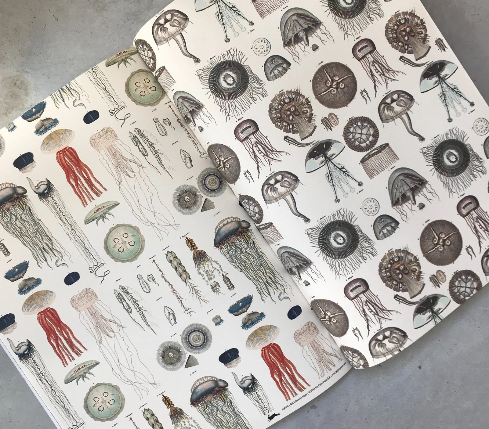 Marine Gift & Creative Paper Book - Vol. 89