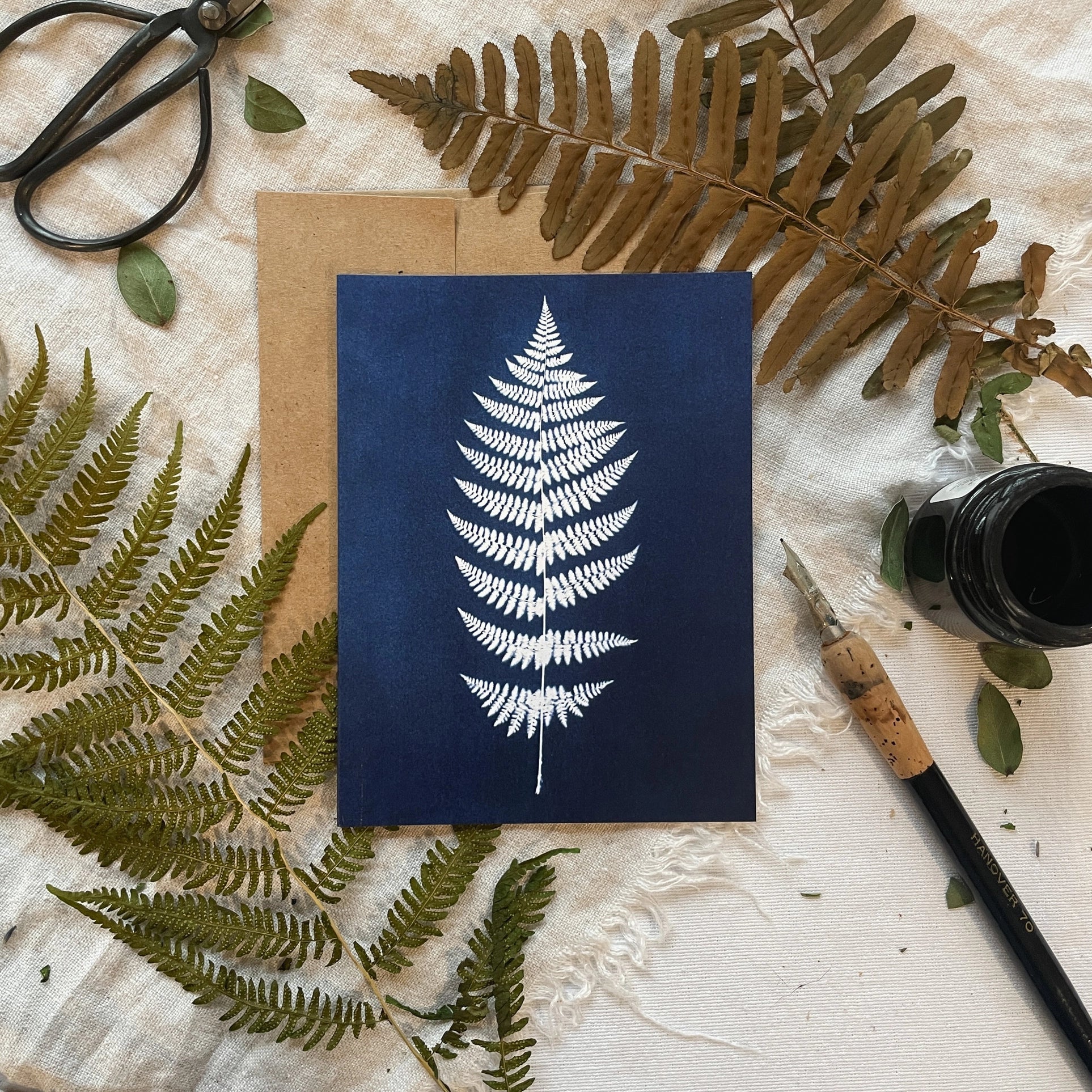 Ferns - Botanical Cyanotype Cards Boxed Set